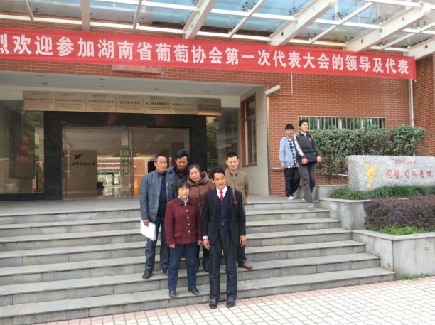C:\Users\Administrator\Desktop\芷江侗族自治县紫秋刺葡萄专业合作社\网站资料\4 新闻动态\IMG_0118.jpg